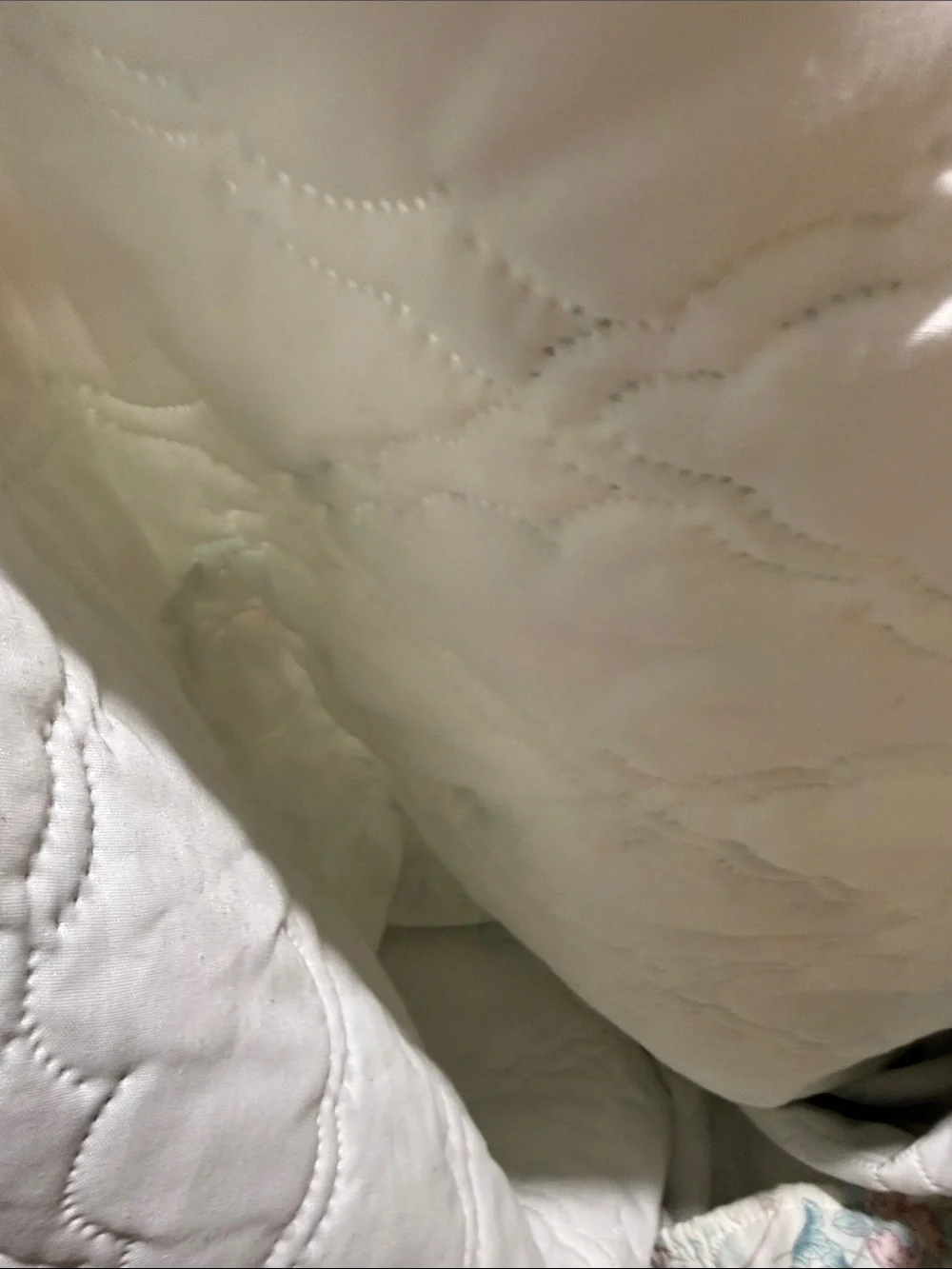 Vintage Cannon Floral Quilted Comforter in White with Blue & Pink Blooms twin